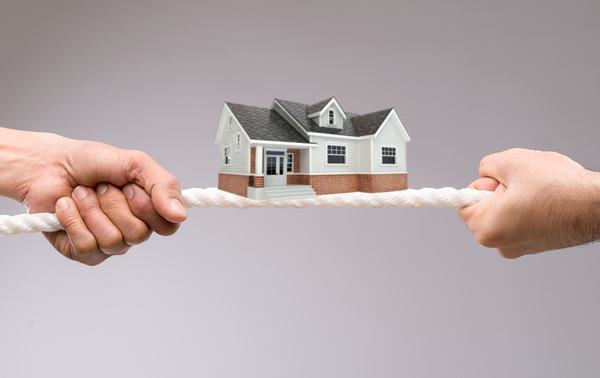 Real estate professional reviewing property documents